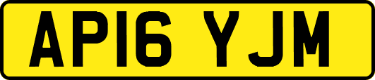 AP16YJM