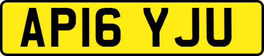 AP16YJU