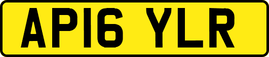 AP16YLR