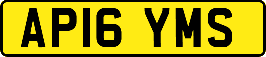AP16YMS