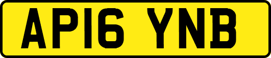 AP16YNB