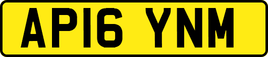 AP16YNM