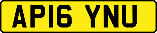 AP16YNU