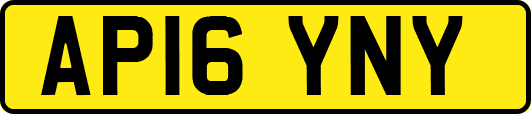 AP16YNY