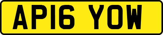 AP16YOW