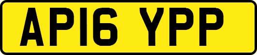 AP16YPP
