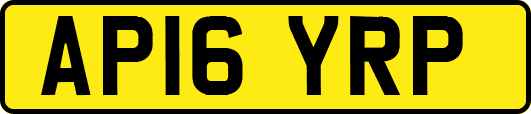 AP16YRP