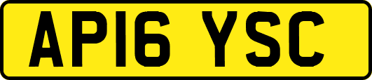 AP16YSC