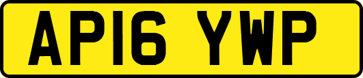 AP16YWP