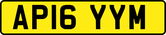 AP16YYM