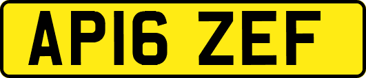 AP16ZEF