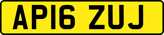 AP16ZUJ