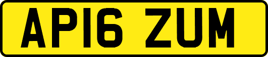 AP16ZUM