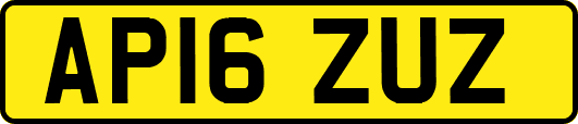 AP16ZUZ