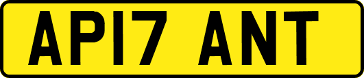 AP17ANT