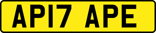 AP17APE