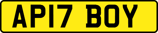 AP17BOY