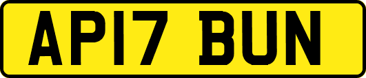 AP17BUN