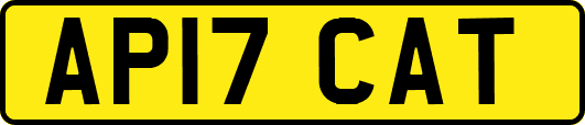 AP17CAT