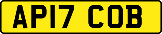 AP17COB