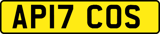 AP17COS