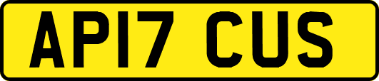 AP17CUS