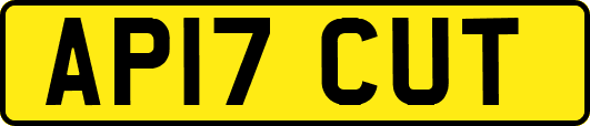 AP17CUT