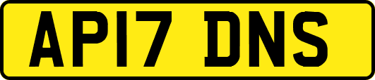 AP17DNS