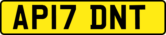 AP17DNT