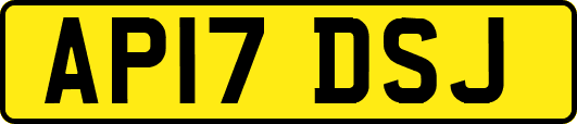AP17DSJ