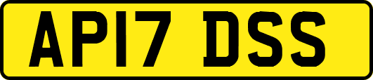 AP17DSS