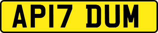 AP17DUM