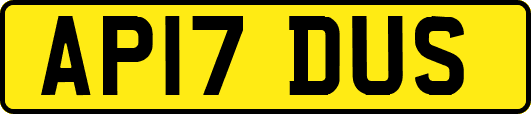 AP17DUS