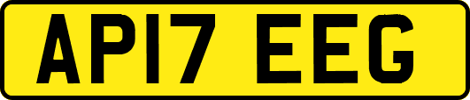 AP17EEG