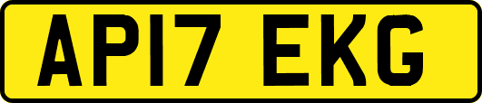 AP17EKG