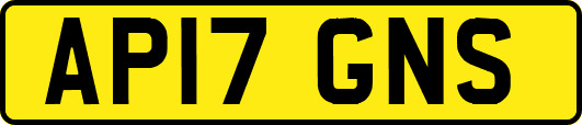 AP17GNS