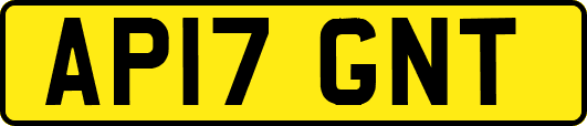 AP17GNT