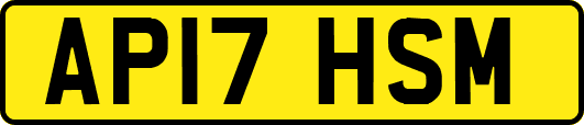 AP17HSM