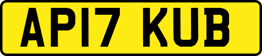 AP17KUB