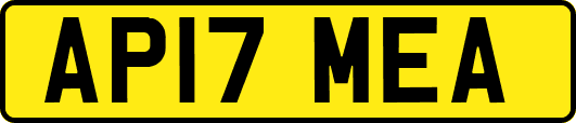 AP17MEA