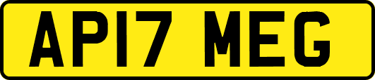 AP17MEG