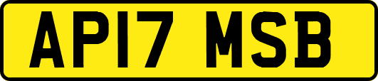 AP17MSB