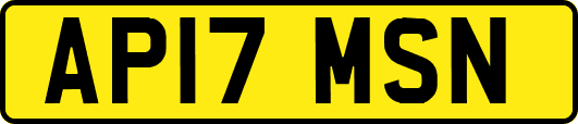 AP17MSN