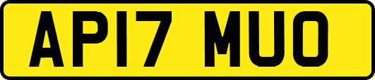 AP17MUO