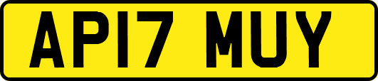 AP17MUY
