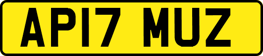 AP17MUZ