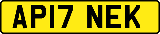 AP17NEK