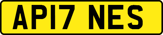 AP17NES