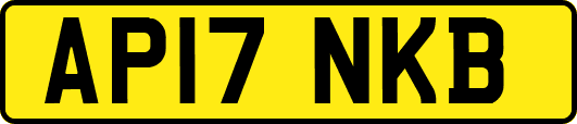 AP17NKB