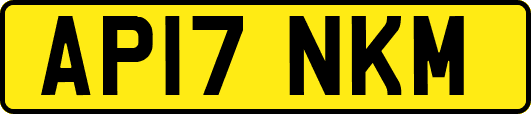 AP17NKM